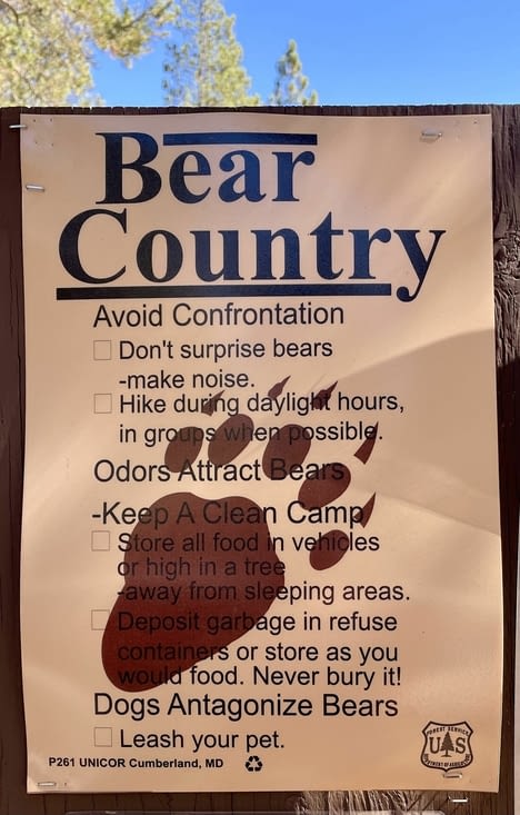 Be careful bears