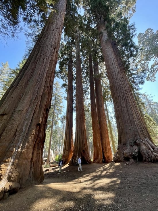 Des géants de papier.