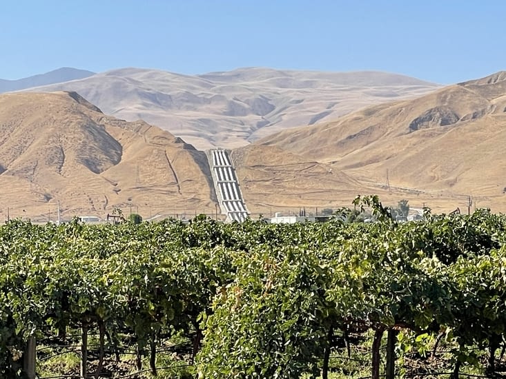 Des collines arides, de l'eau, du raisin.