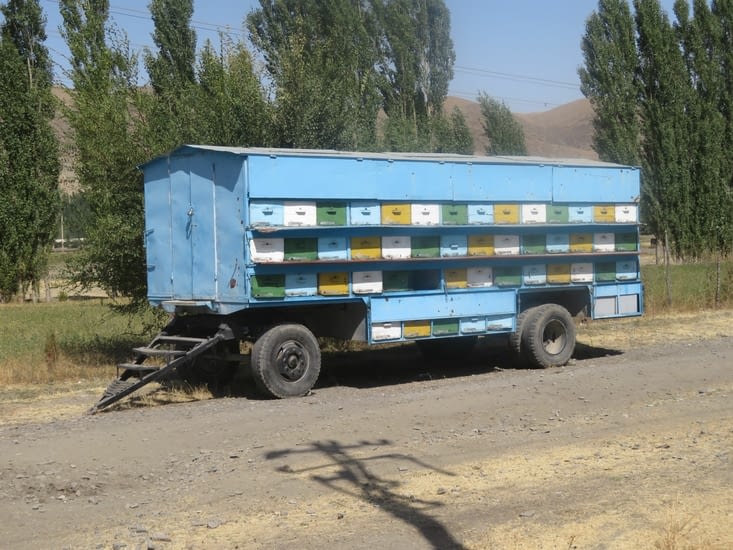 Nombreux camions internationaux, mais aussi locaux, notamment transport de ruches