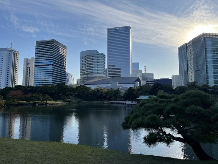 Poumon vert de la ville