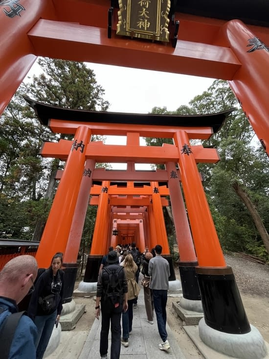 La traversée se grands Tōrii