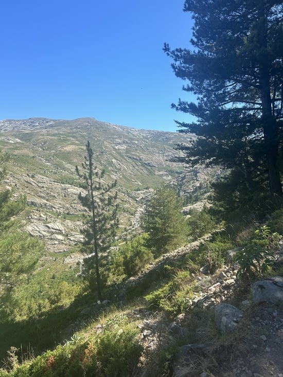 Vue du début du massif vers le lac.2
