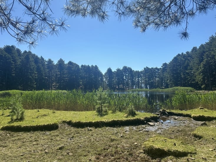 Vue du lac de Creno.6