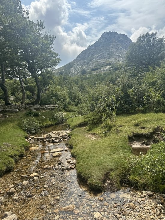 Vue du sous-bois forestier d'Ese.3