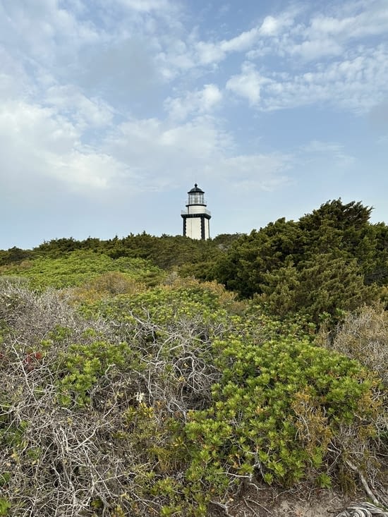 Phare de Pertusato