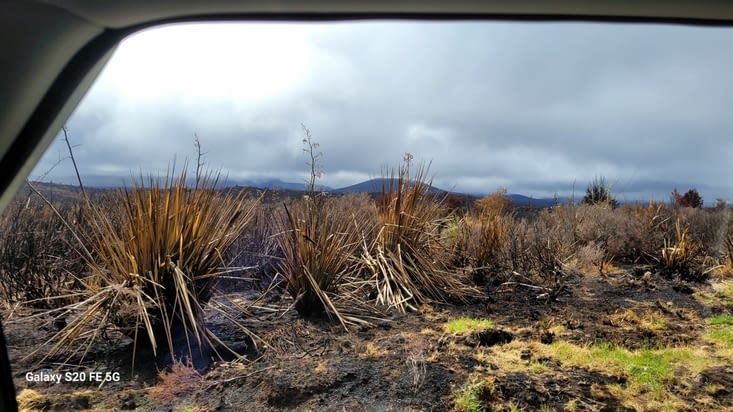 Ici, le paysage est dévasté par un incendie qui s’est produit 10 jours auparavant
