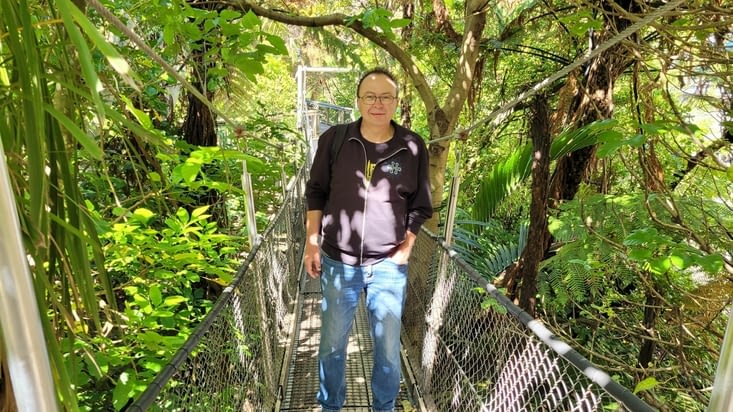 Reconstitution d’une forêt néo-zélandaise