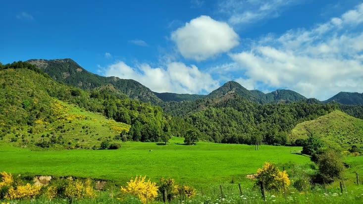 Une fois quitté Abel Tasman, on retrouve des paysages classiques de Nouvelle Zélande