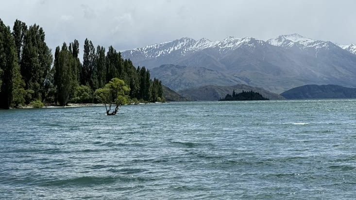 That Wanaka Tree, l’arbre le plus photographié au monde (c’est pas moi qui le dit !)