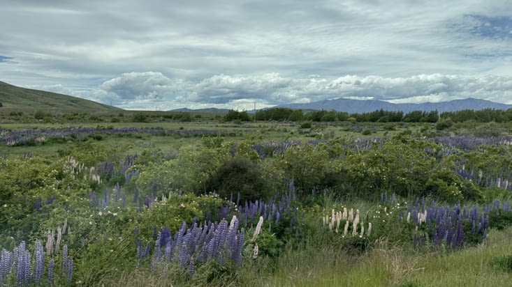Nous entrons dans le district de Mackenzie …
