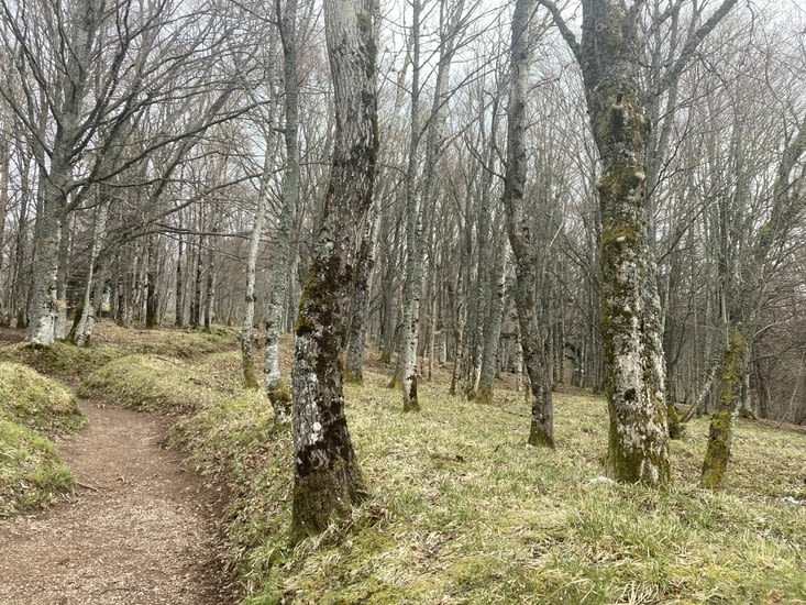 Boyau Zéro. Dans la partie française