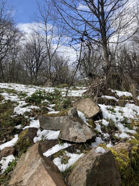 Reste d’une tranchée allemande