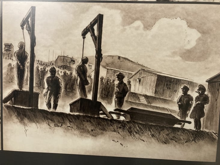 Témoigner par le dessin