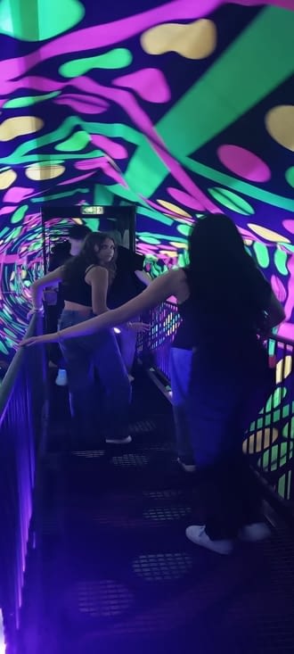 Aie Aie Aie ! Le cerveau est trompé...;on se cogne sur les rembardes, croyant tourner !