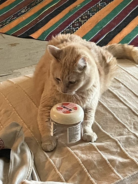 Qu’est-ce qu’il y a dans cette boîte ?