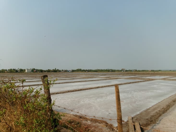 Savez-vous que le sel de Guerande vient d’ici, Kampot