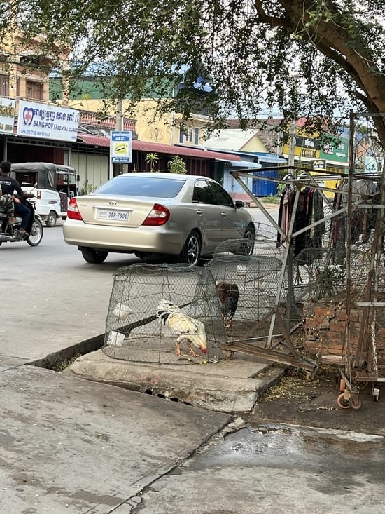 Des athlètes bien gardés. Kampot, avant d’aller voir la mer