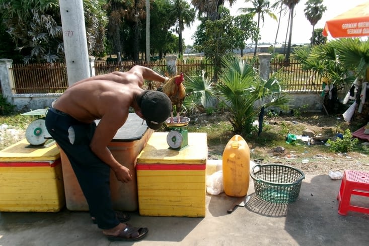 La pesée. Avant une compétition ? Pas pu savoir
