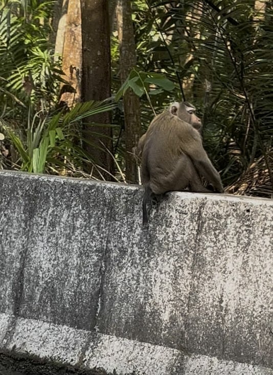 Sur le chemin du retour