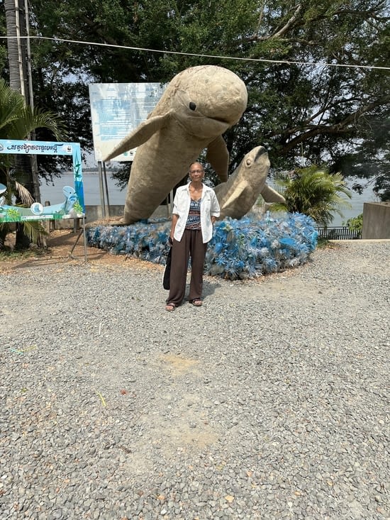 Arrivée au Mekong Dolphin Pleasance