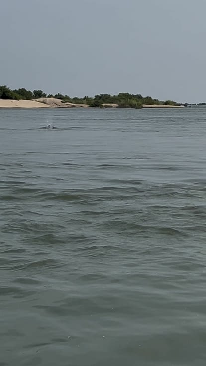 En regardant bien ……