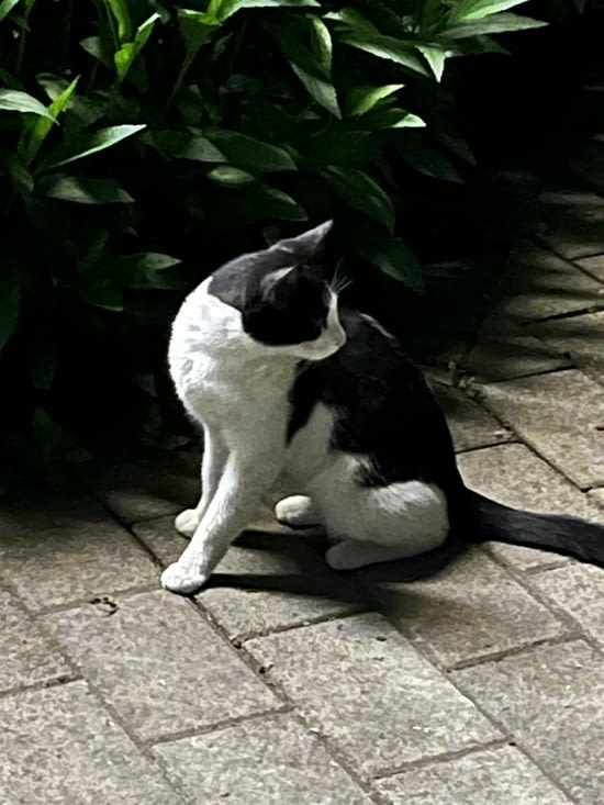 Autre rencontre