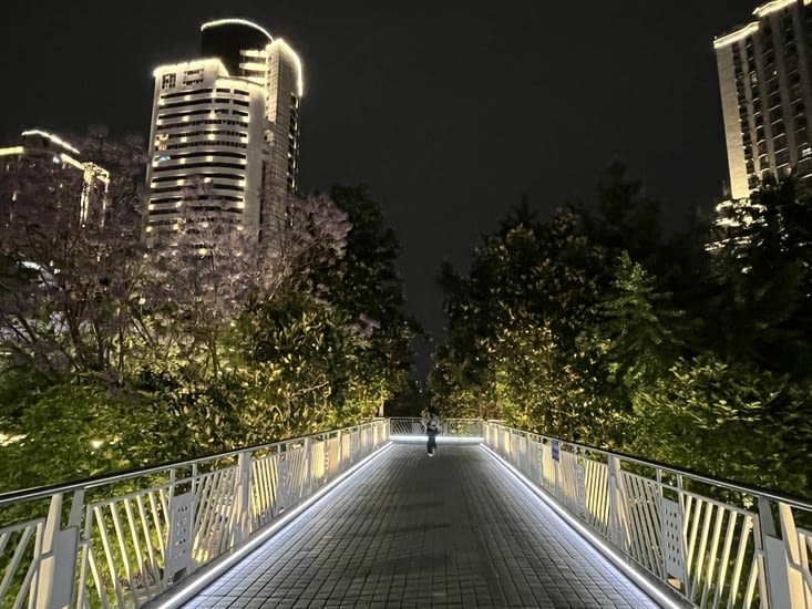 Jeune qui court sur la passerelle