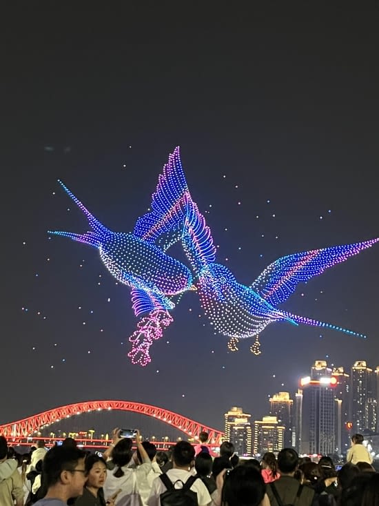Birds