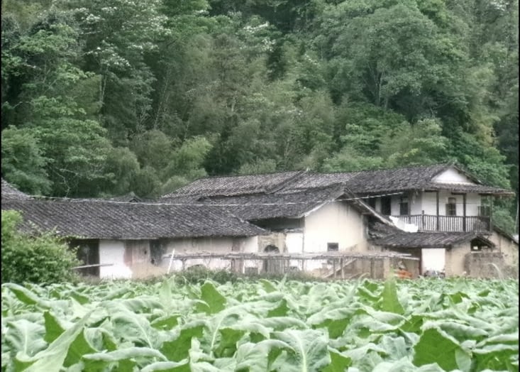 Maison abandonnée