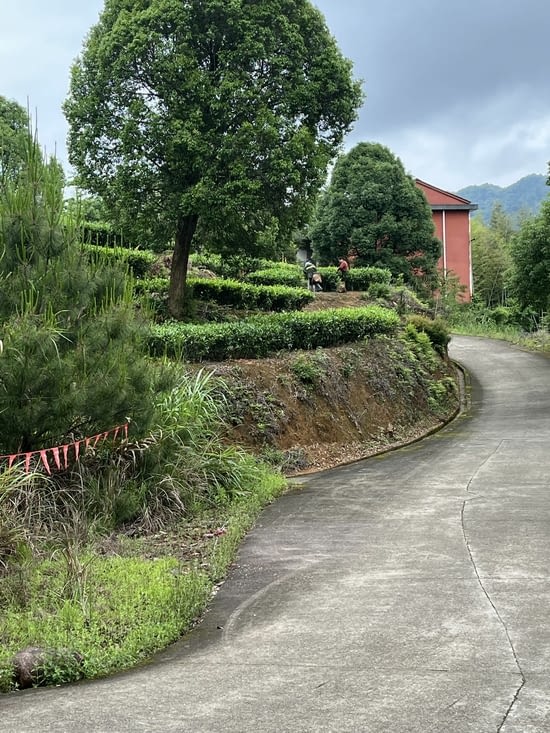 La route qui mène à l’hôtel