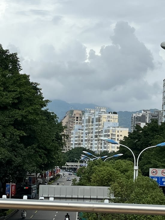 Vue d’un pont