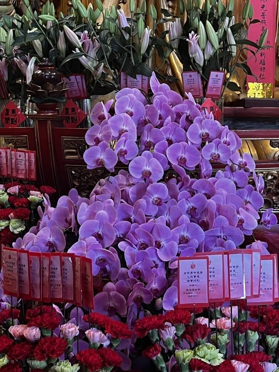 Les souhaits et les belles fleurs