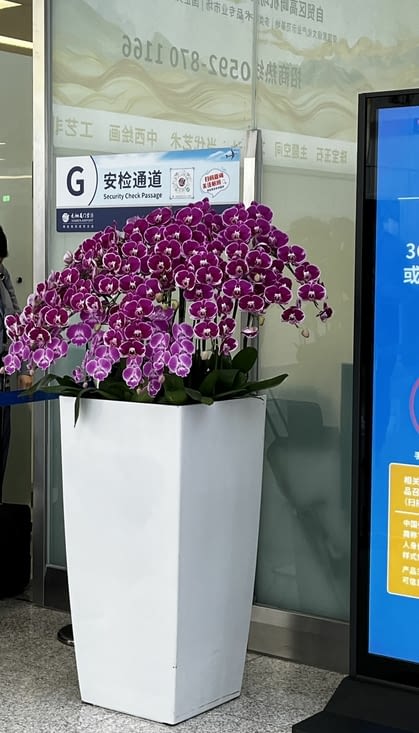 Aeroport de  Xiamen