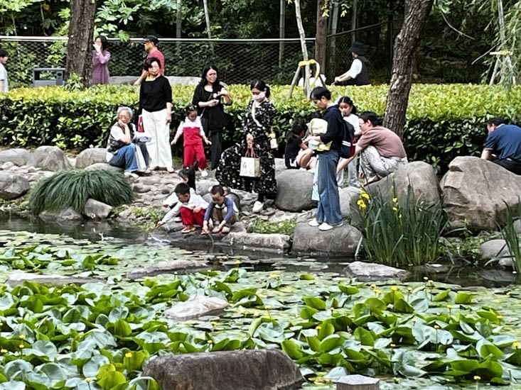 Enfants au bord de l’eau