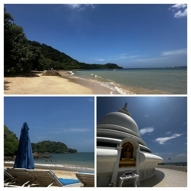 Jungle beach