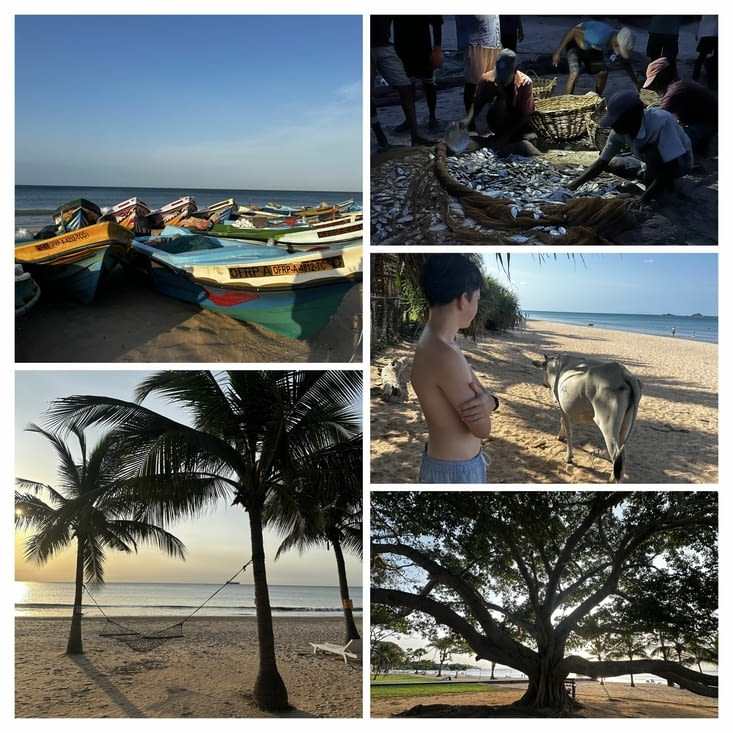 Point de repère
