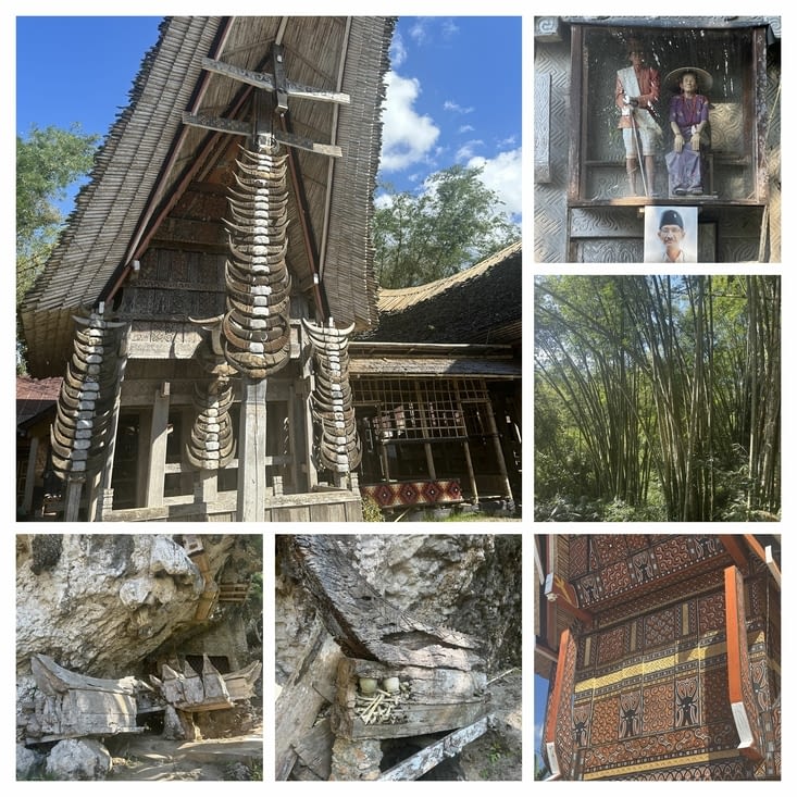 Immergé en culture Toraja