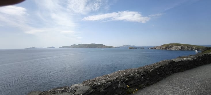 Avec vue