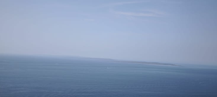 Aran