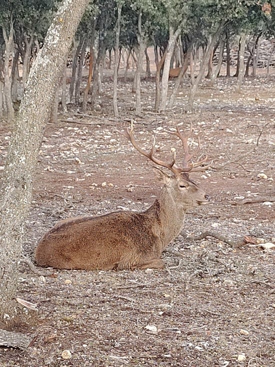 Dans notre jardin