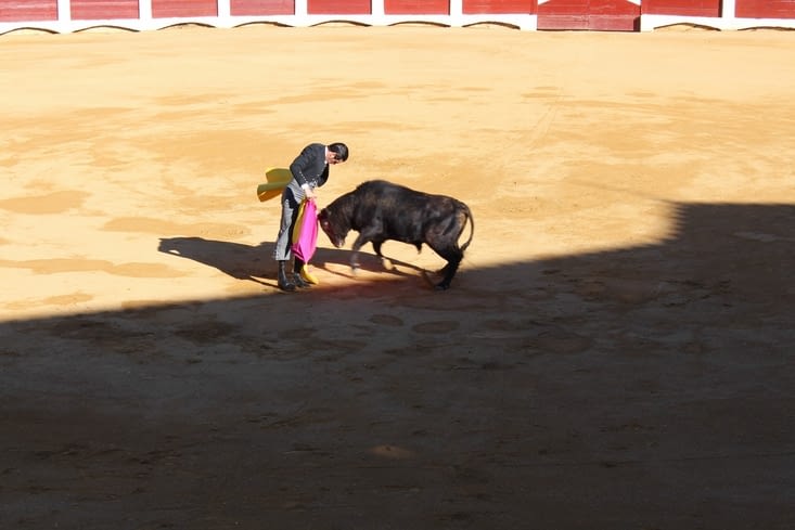 Olé