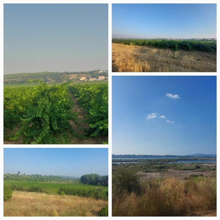 Les paysages, encore tellement beaux...