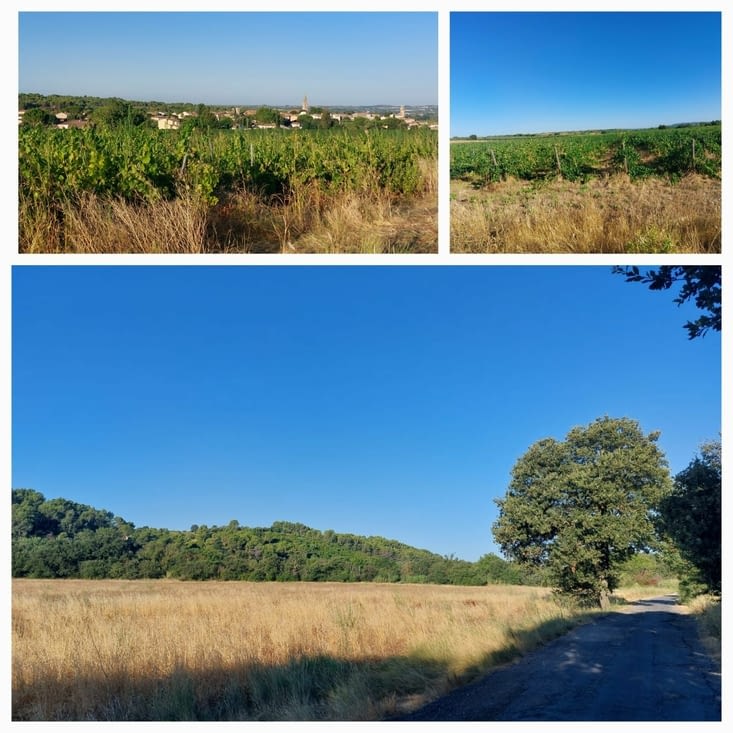 Des paysages.