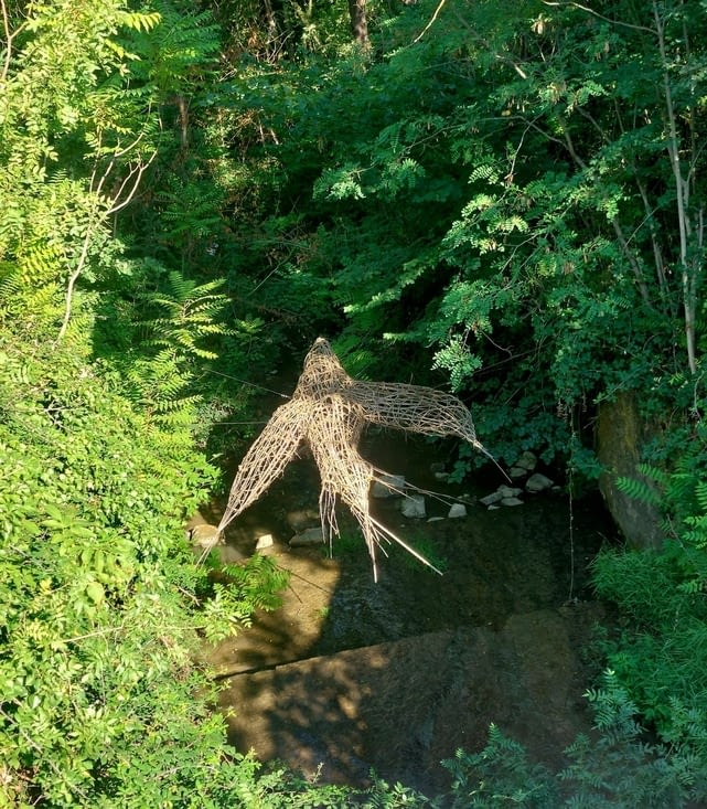L'oiseau de bois.
