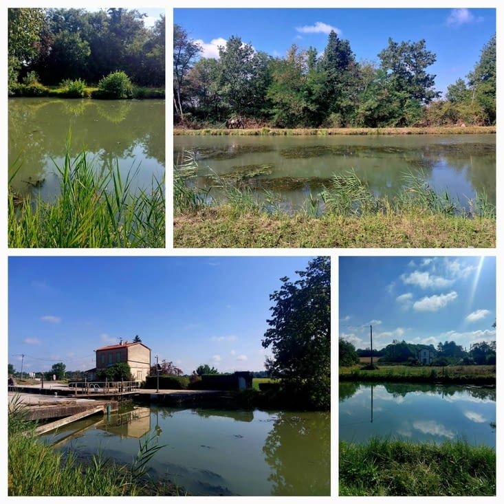 Vues du canal qui n'est plus le canal du Midi...