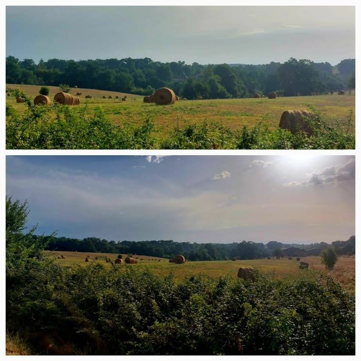 Des paysages.