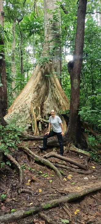 dans la forêt