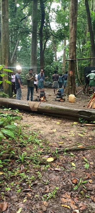 Shooting in the forest