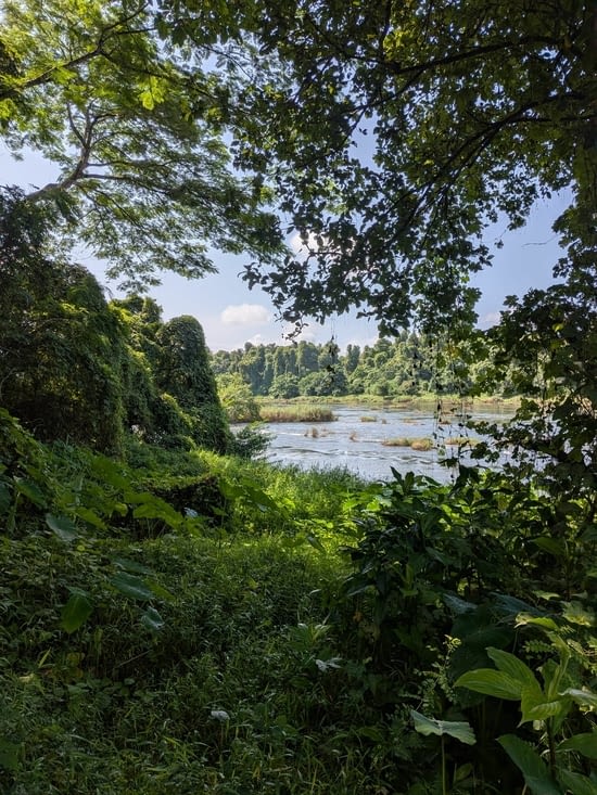 Petit coin de nature préservé